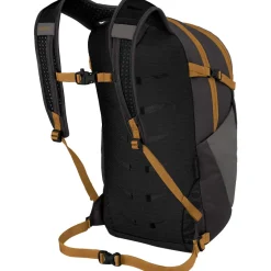 Daylite Plus 20L Backpack