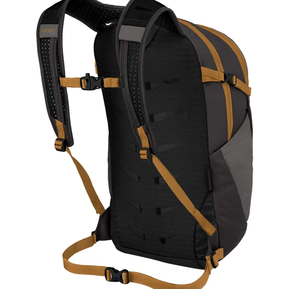 Daylite Plus 20L Backpack