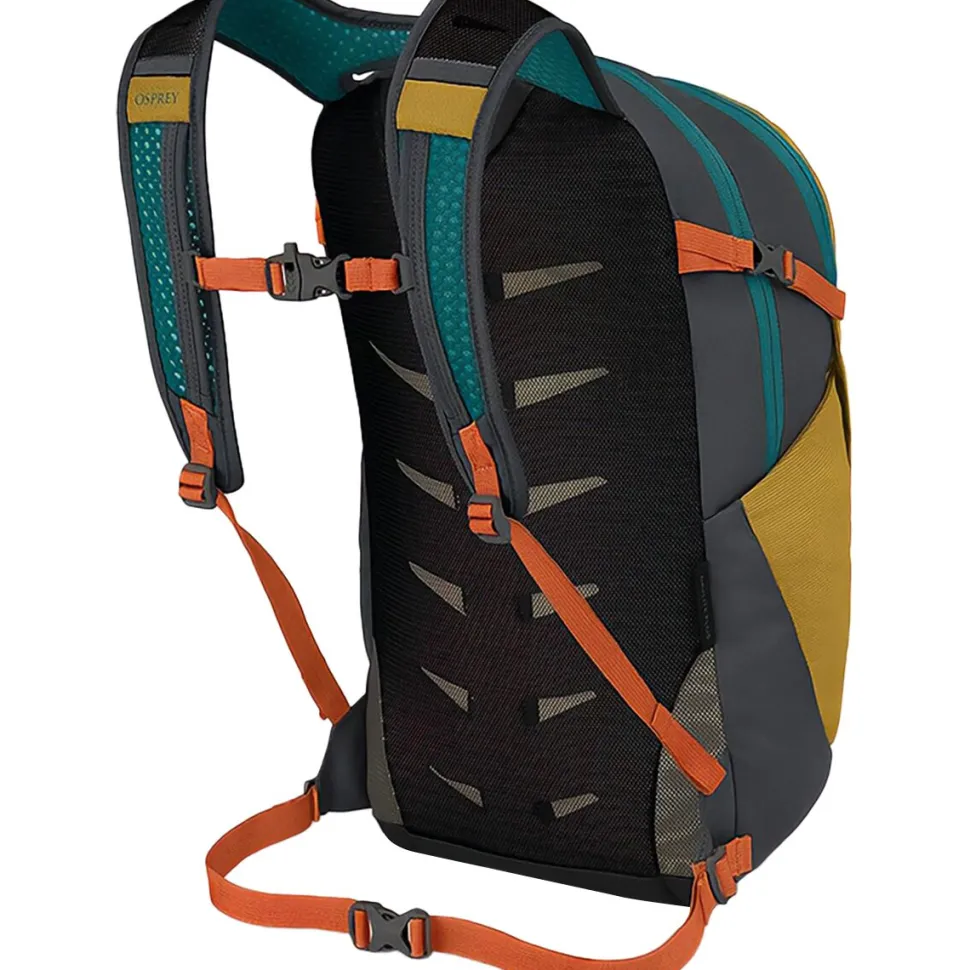 Daylite Plus 20L Backpack