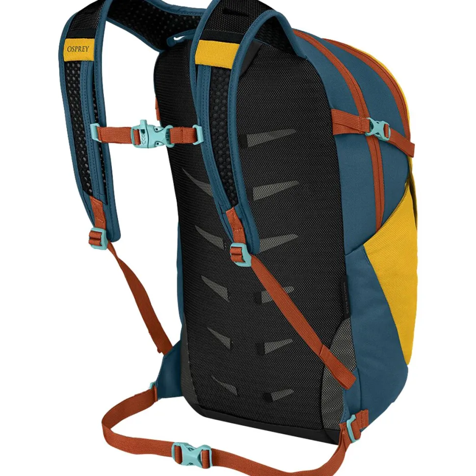 Daylite Plus 20L Backpack