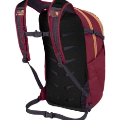 Daylite Plus 20L Backpack
