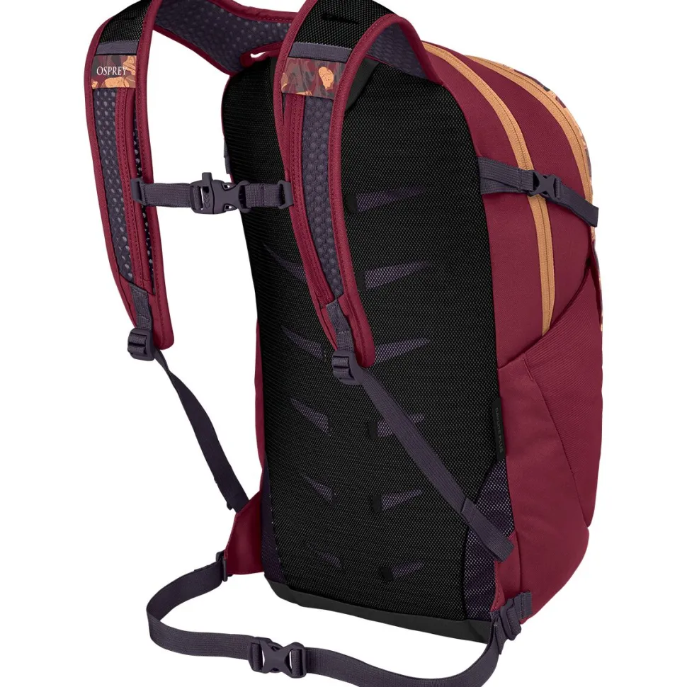 Daylite Plus 20L Backpack