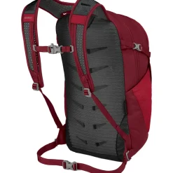 Daylite Plus 20L Backpack
