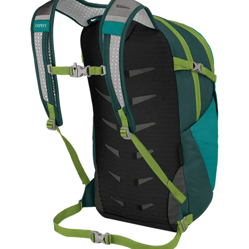 Daylite Plus 20L Backpack