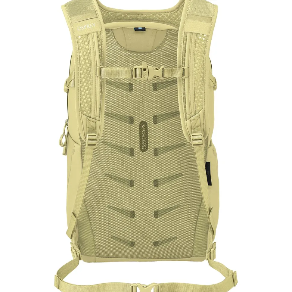 Daylite Plus 20L Backpack