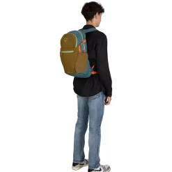 Daylite Plus 20L Backpack