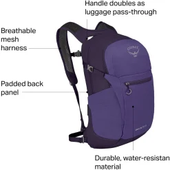 Daylite Plus 20L Backpack
