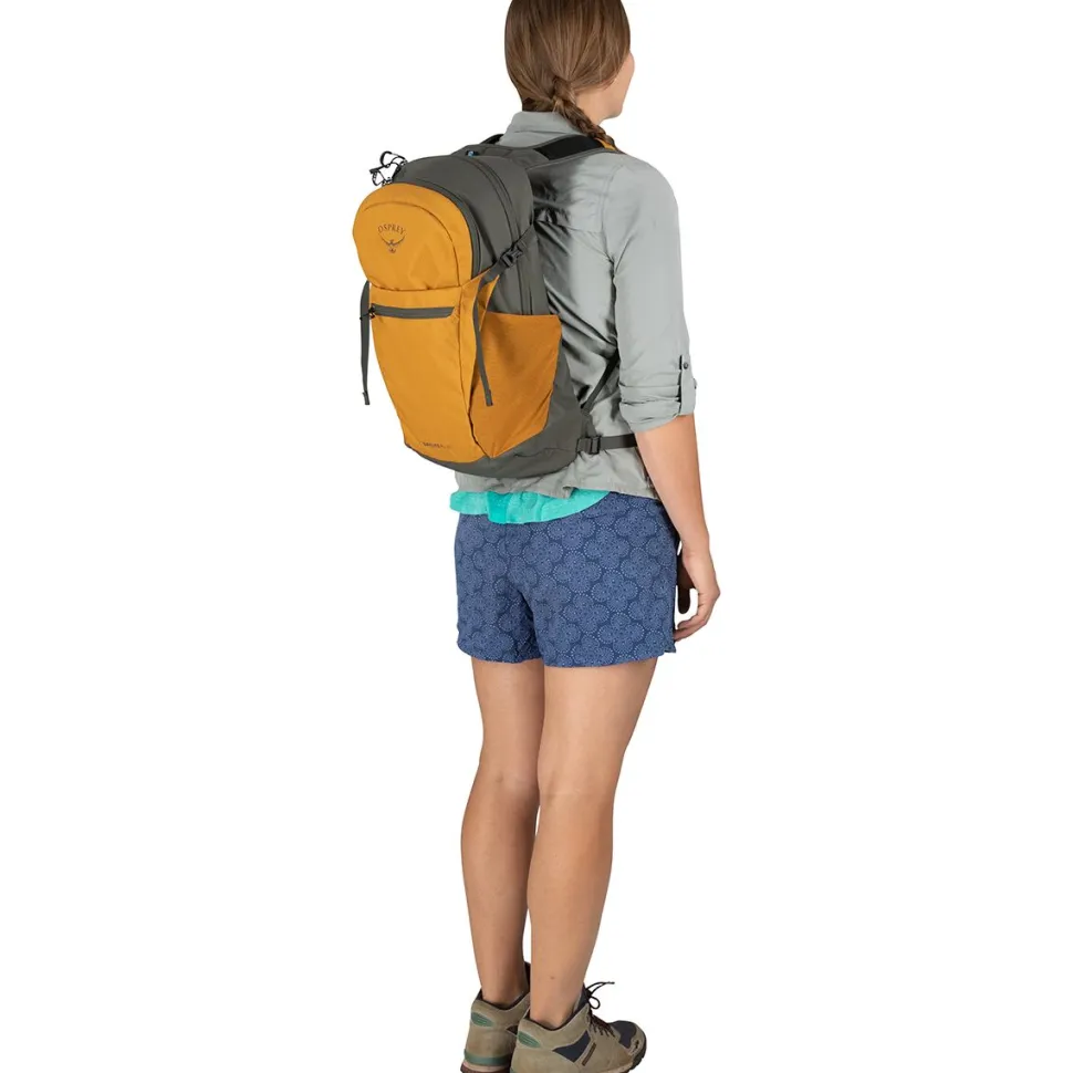 Daylite Plus 20L Backpack
