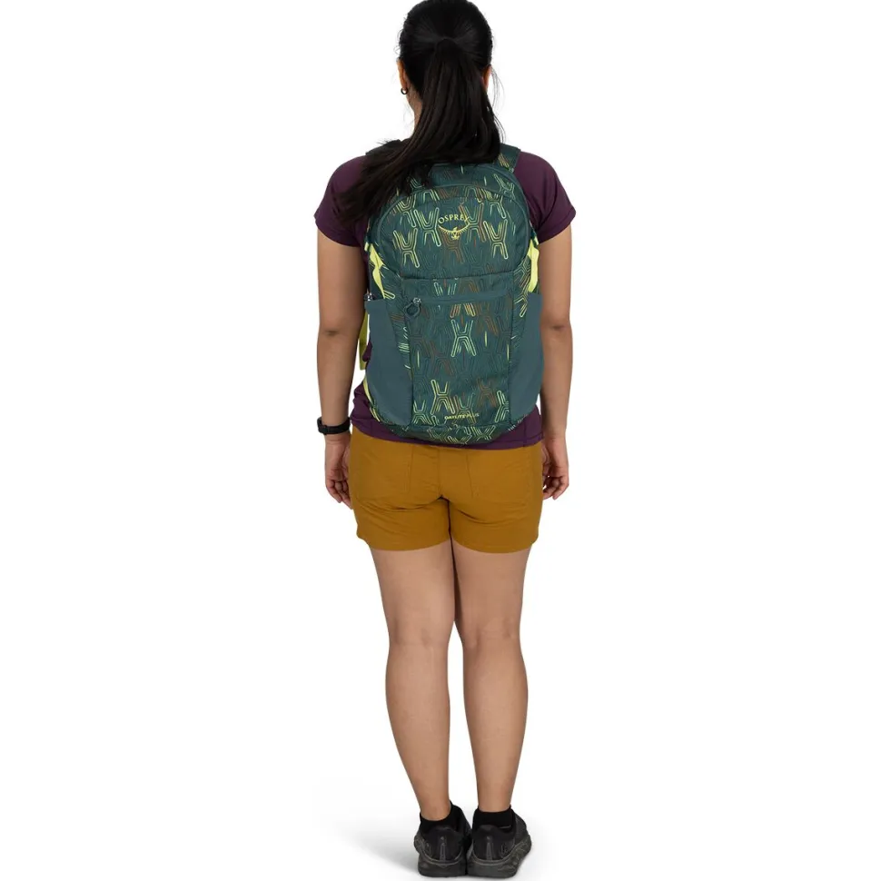Daylite Plus 20L Backpack