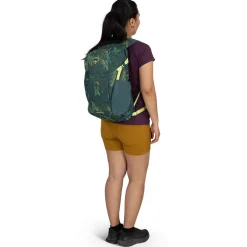 Daylite Plus 20L Backpack