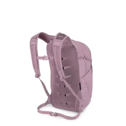 Daylite Plus 20L Backpack