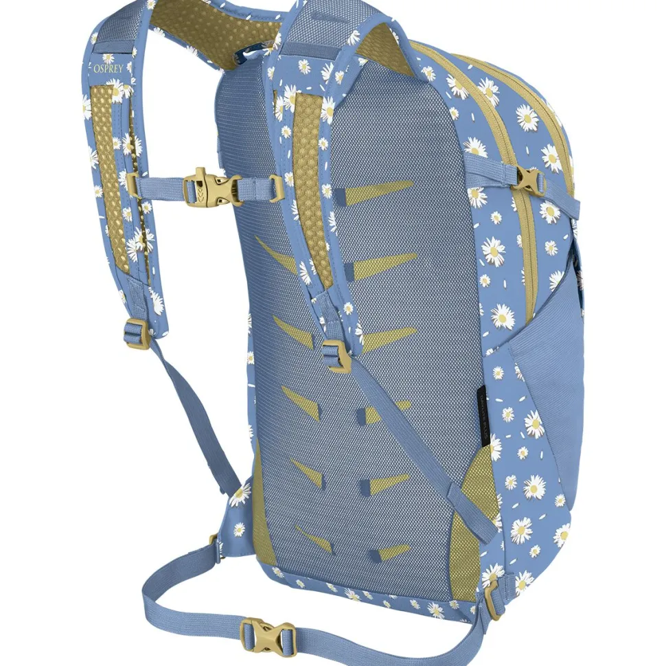 Daylite Plus 20L Backpack