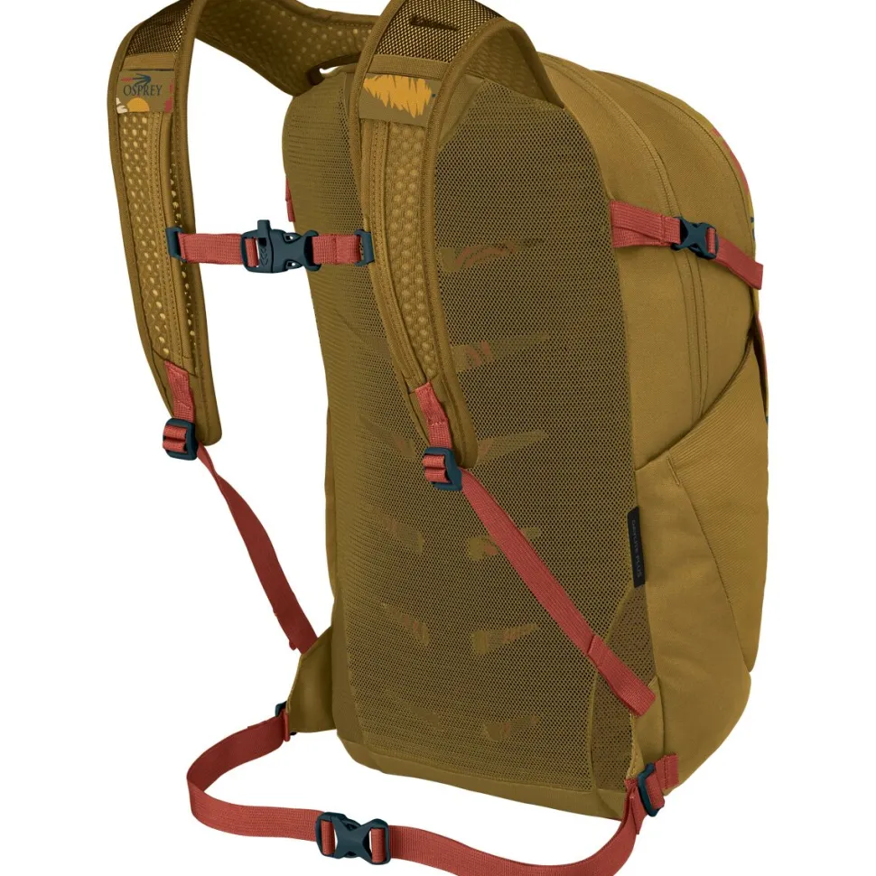 Daylite Plus 20L Backpack