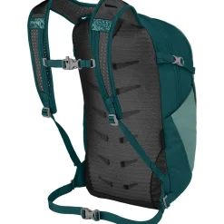 Daylite Plus 20L Backpack