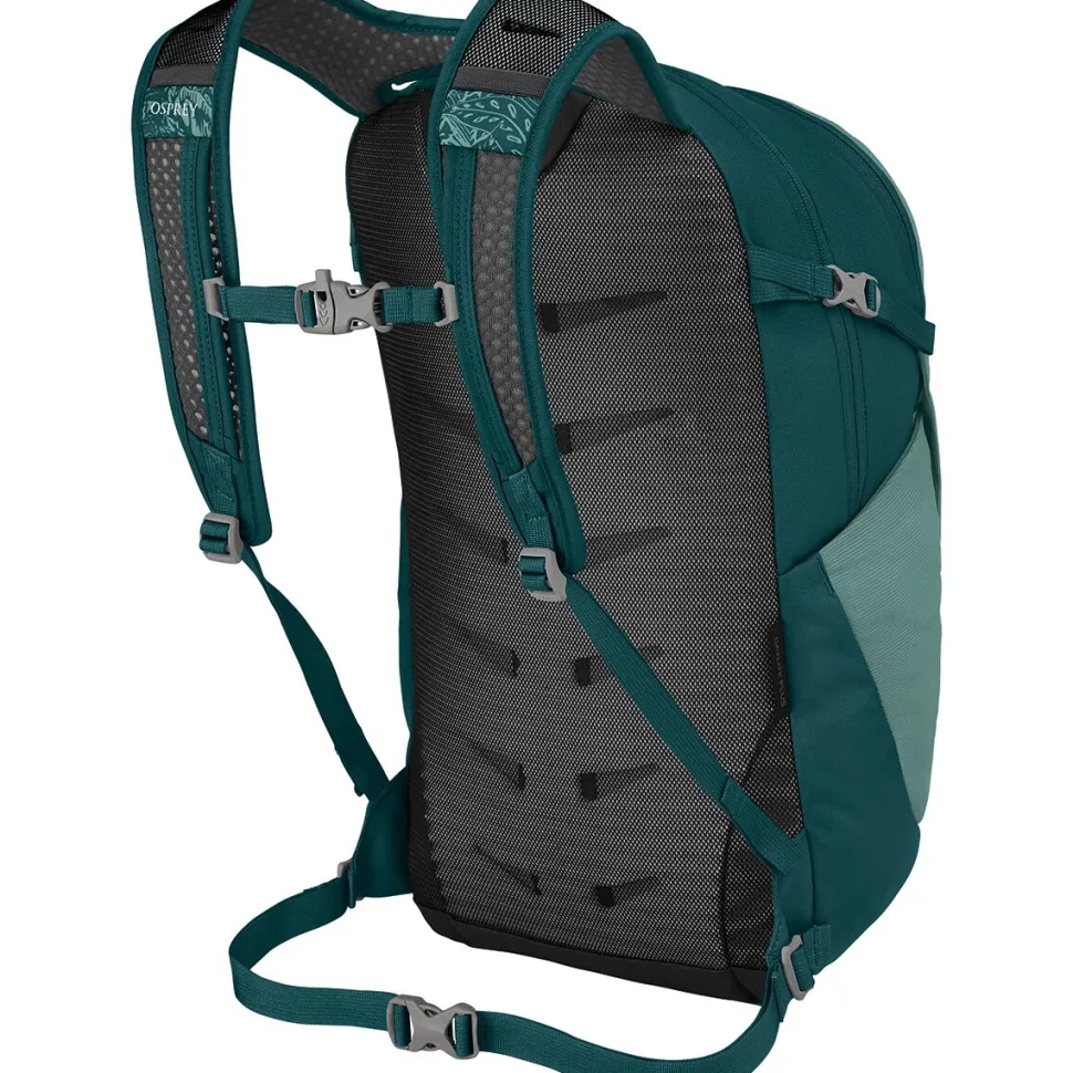 Daylite Plus 20L Backpack