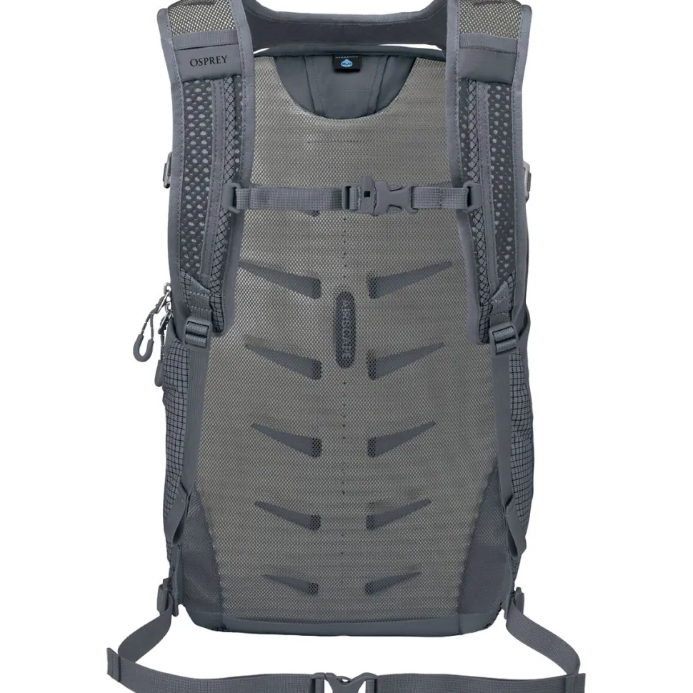 Daylite Plus LTD Backpack