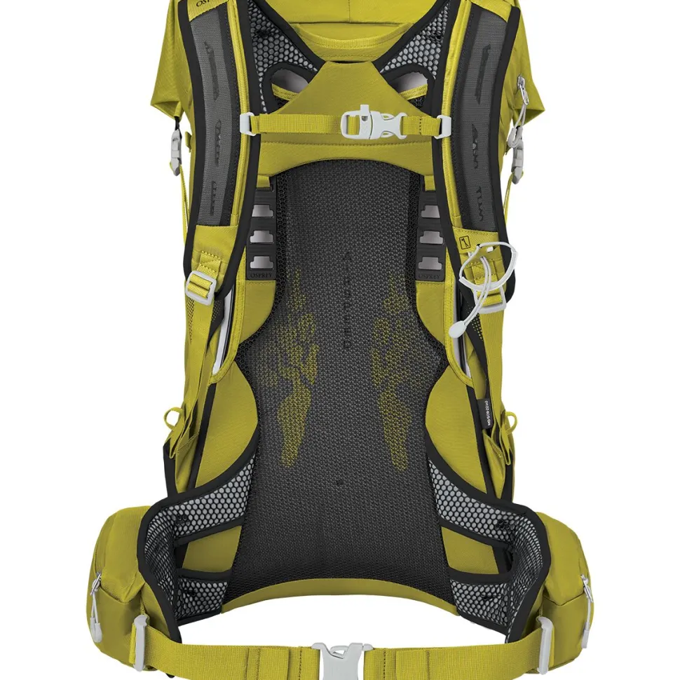 Downburst 36L Backpack - Men's