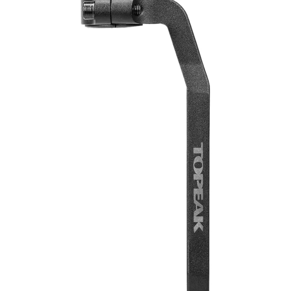 DP Mount