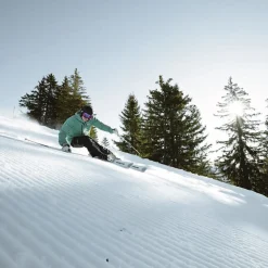 DX84 Ski
