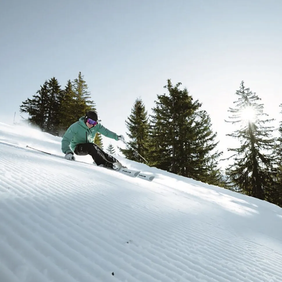 DX84 Ski