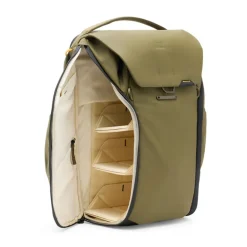 Everyday 30L Backpack