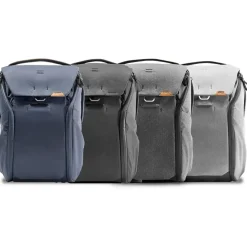 Everyday 20L Backpack