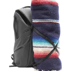 Everyday 20L Backpack