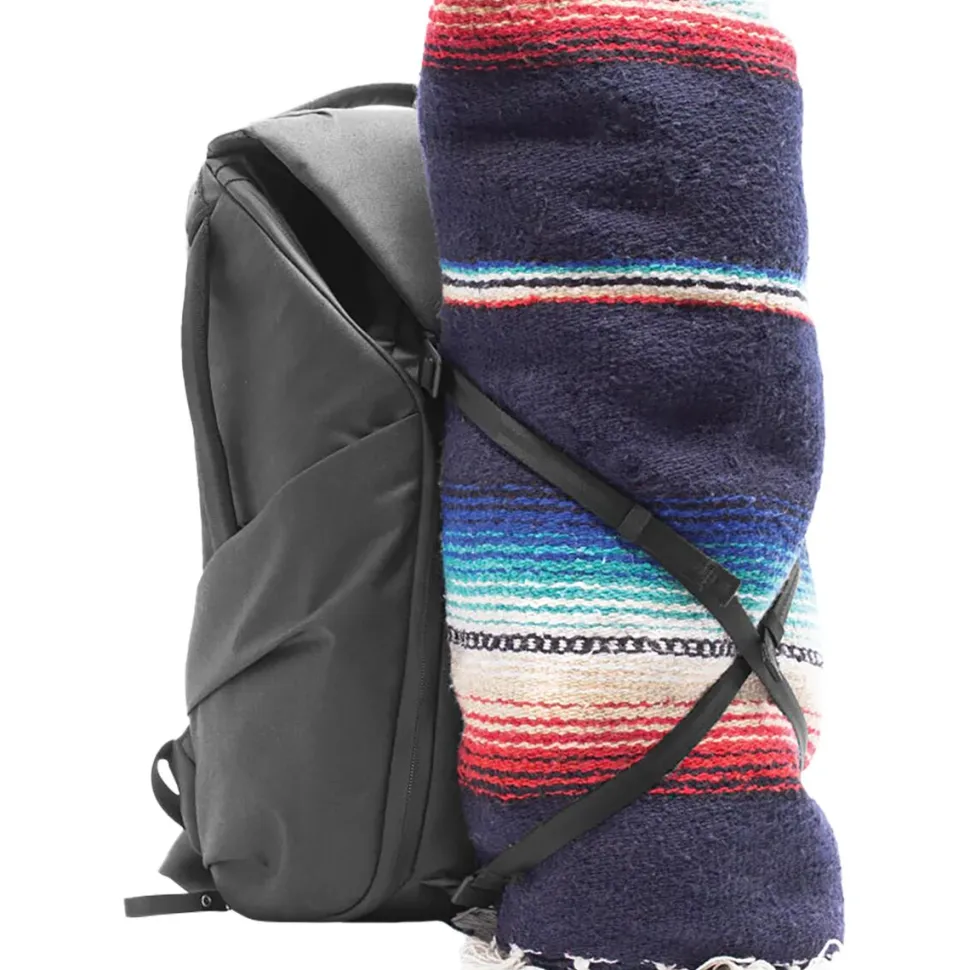 Everyday 20L Backpack