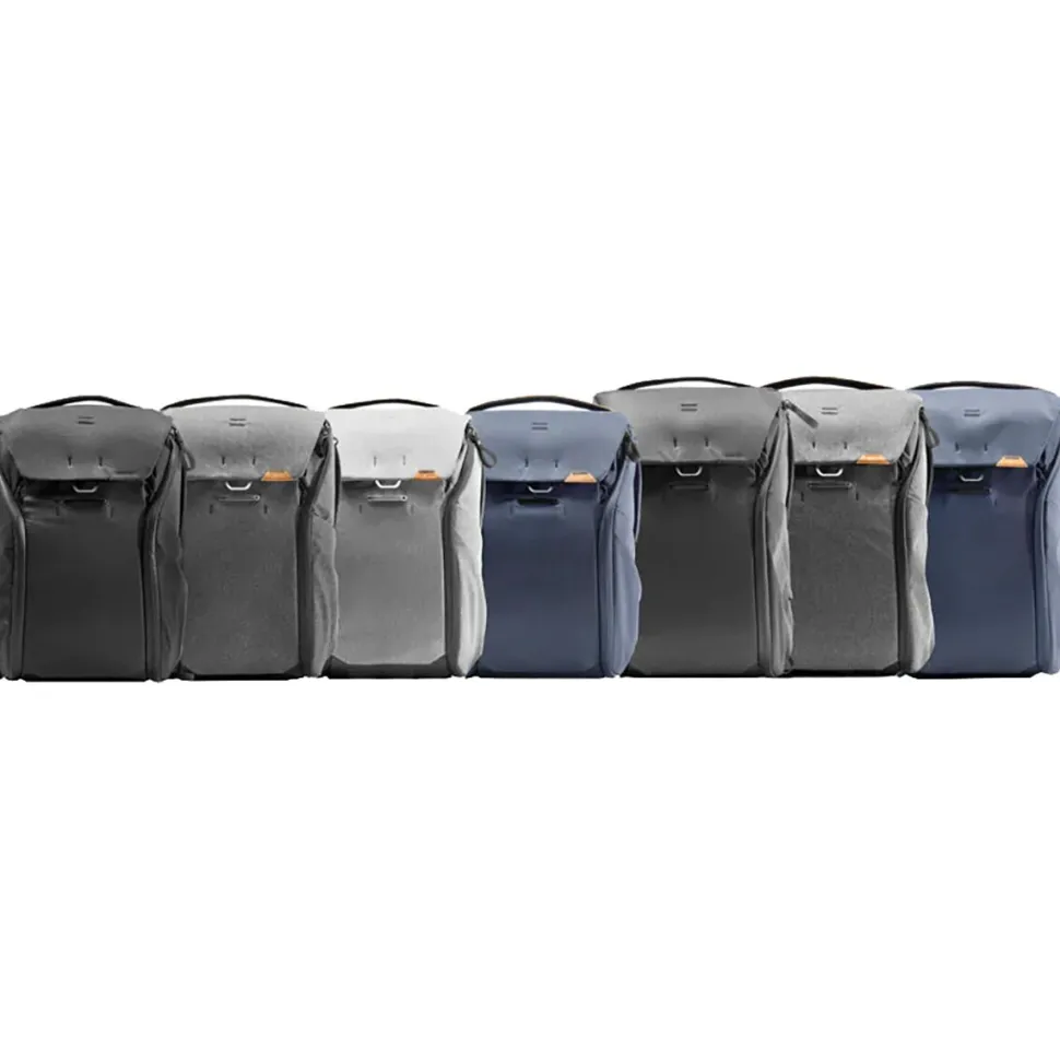 Everyday 20L Backpack