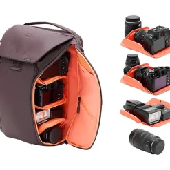 Everyday 20L Backpack