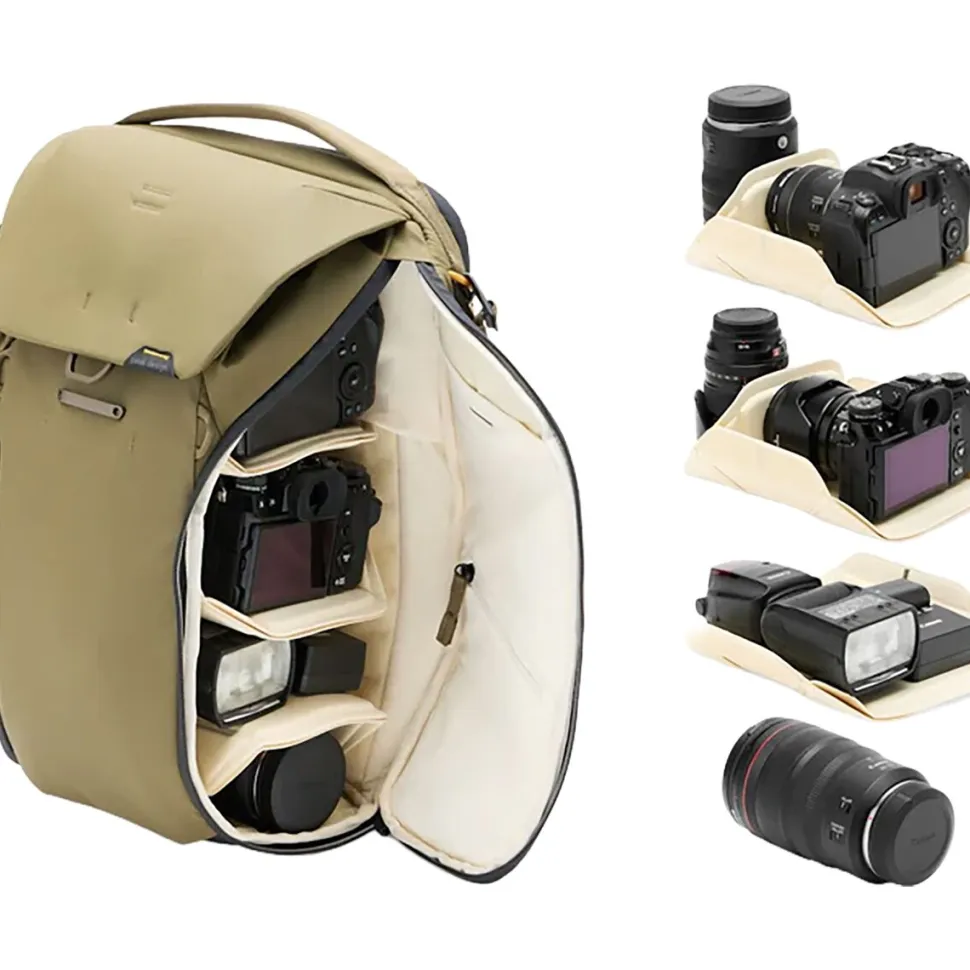 Everyday 20L Backpack
