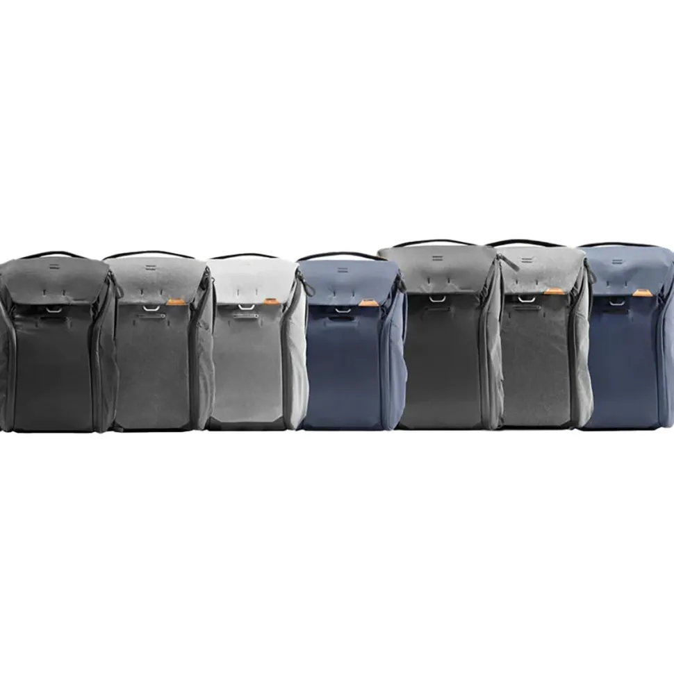 Everyday 20L Backpack