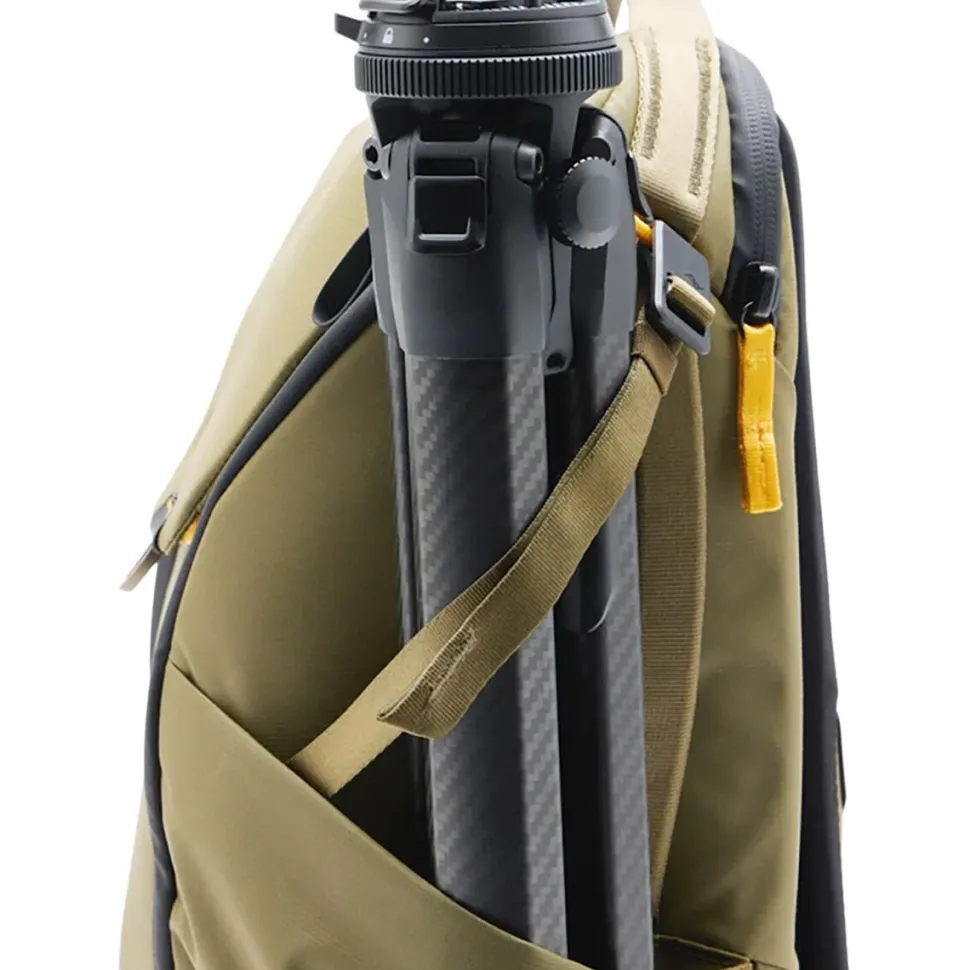 Everyday 20L Backpack