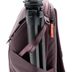 Everyday 20L Backpack