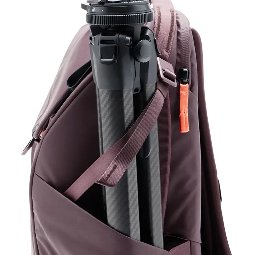 Everyday 20L Backpack