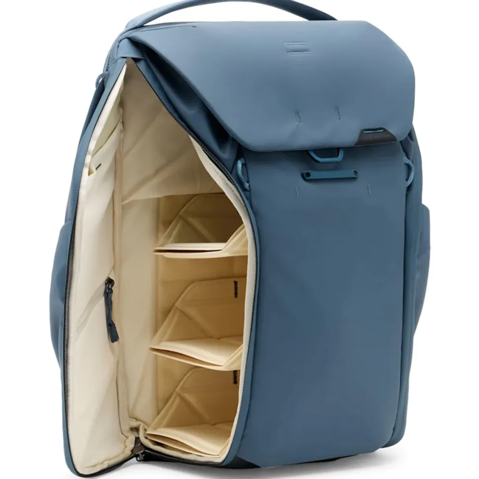 Everyday 20L Backpack