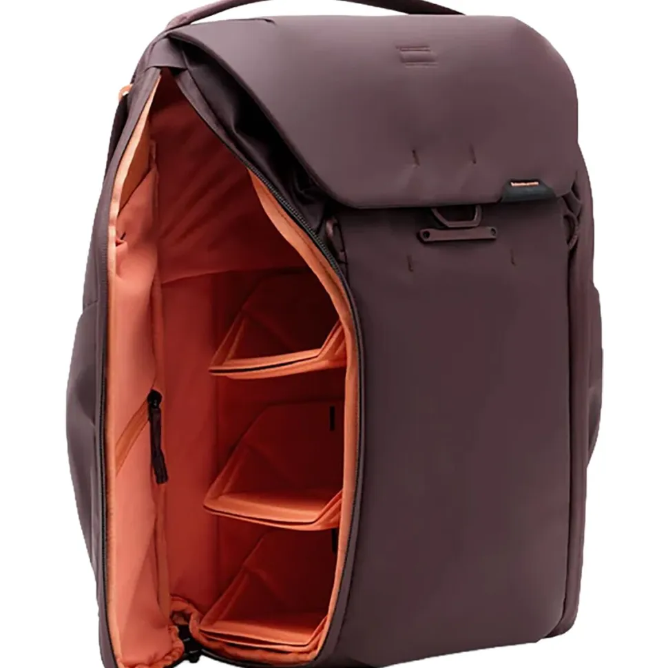 Everyday 20L Backpack