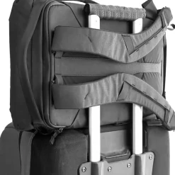 Everyday 20L Backpack