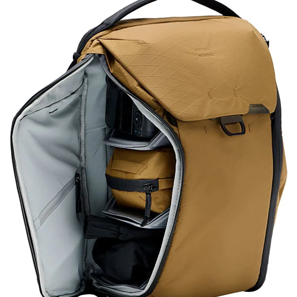 Everyday 20L Backpack