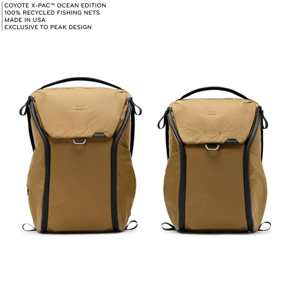 Everyday 20L Backpack