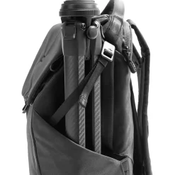 Everyday 20L Backpack
