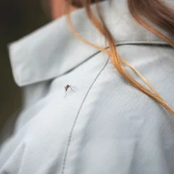 Expedition III Long-Sleeve Shirt - Women's