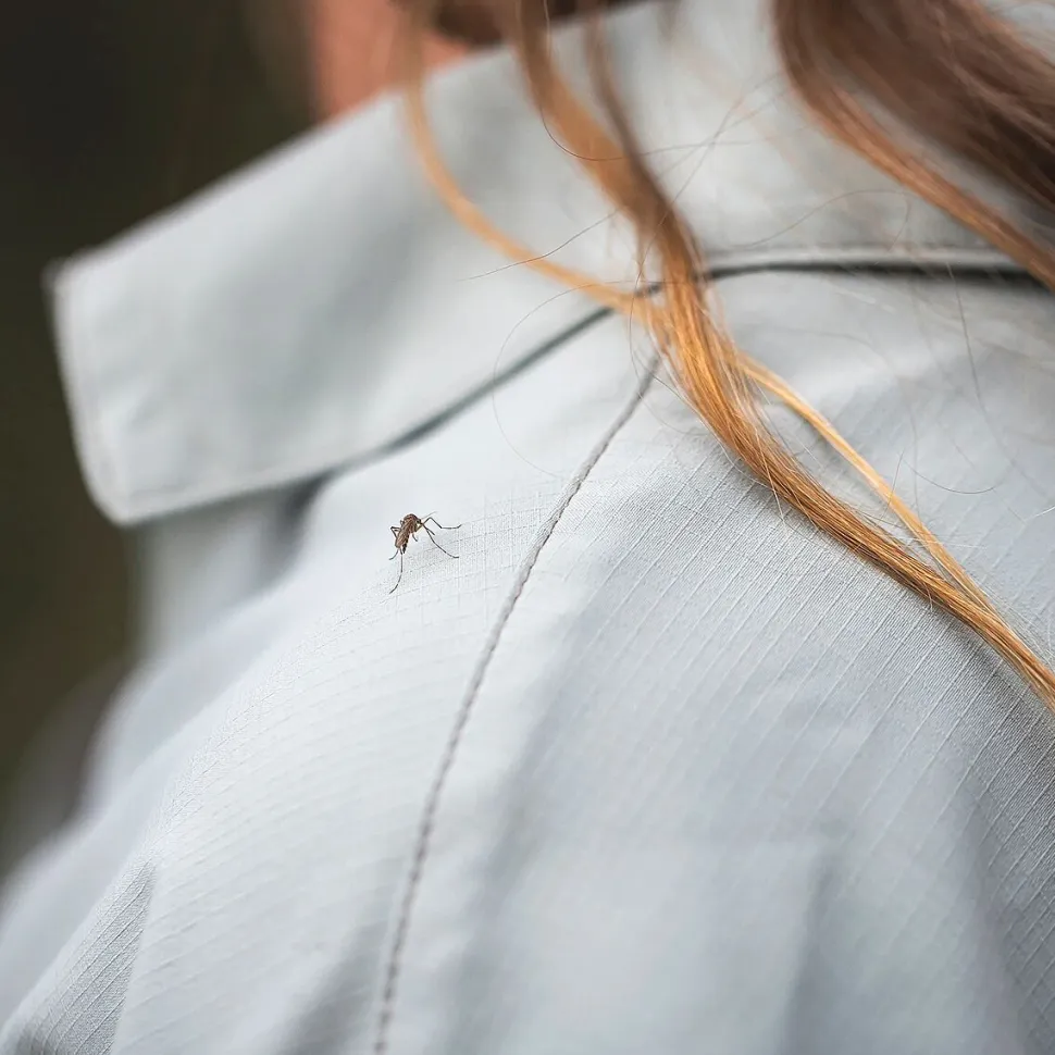 Expedition III Long-Sleeve Shirt - Women's