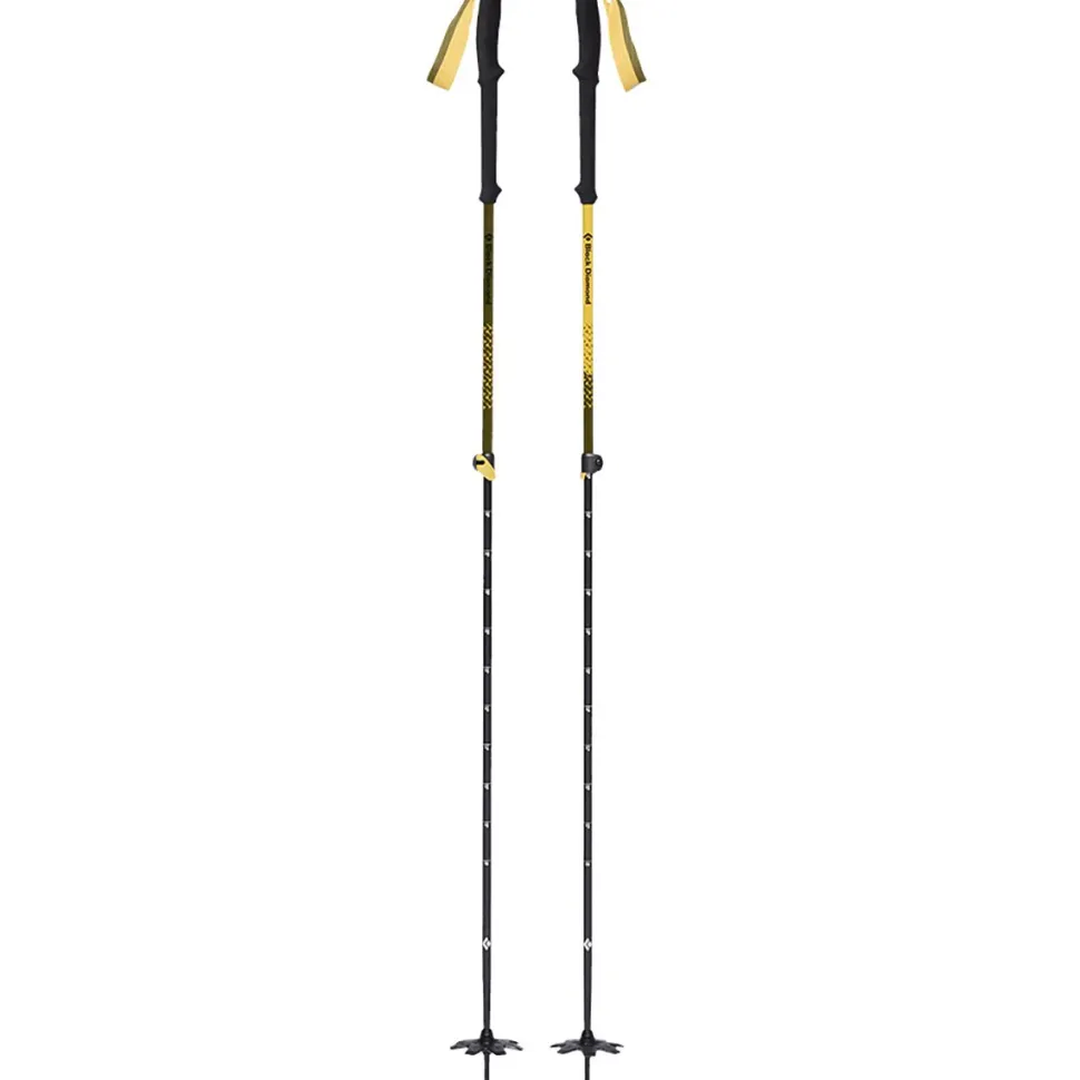 Expedition Johnny Collinson Ski Poles