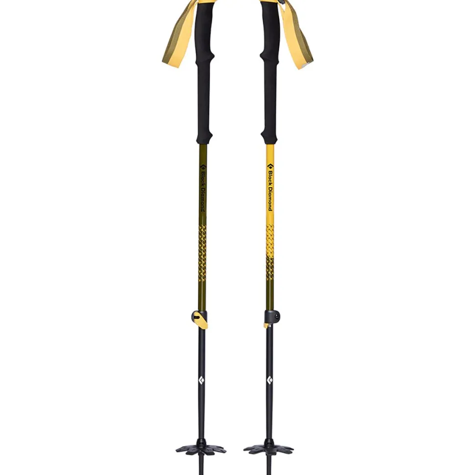 Expedition Johnny Collinson Ski Poles