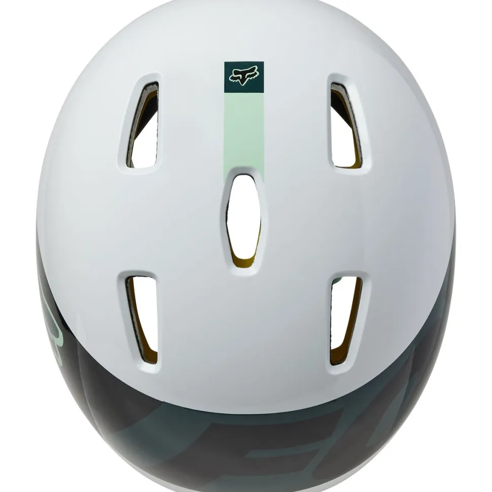 Flight Helmet
