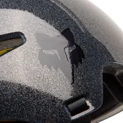Flight Helmet