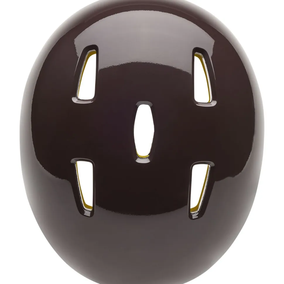 Flight Helmet