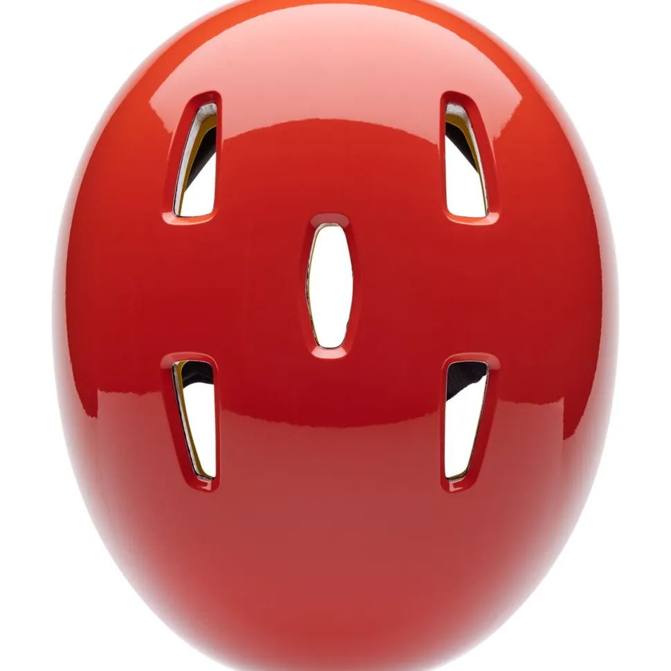 Flight Helmet