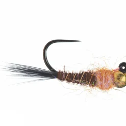 Frenchie Jig Egan's 12-Pack